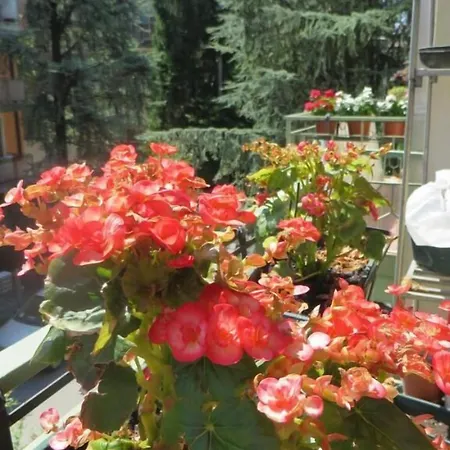 فندق مبيت وإفطار Casa Patavina بادوفا