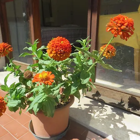 Casa Patavina 3*