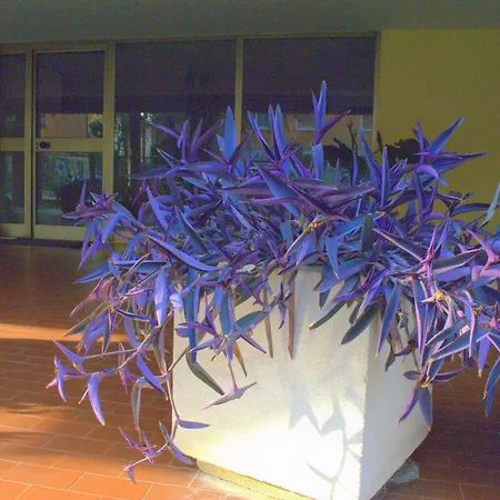 Casa Patavina 3*