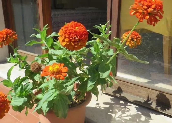 Casa Patavina 3*